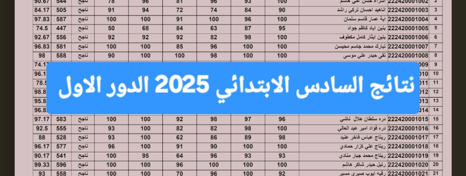 نتائج السادس الابتدائي 2025 السليمانية