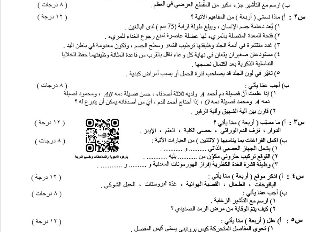 Screenshot ٢٠٢٥٠٥٢٧ ٢٣٤١١٦ Via
