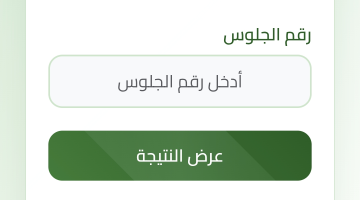 Screenshot ٢٠٢٥٠٦٠٧ ١٧٣٣٥٨ Via