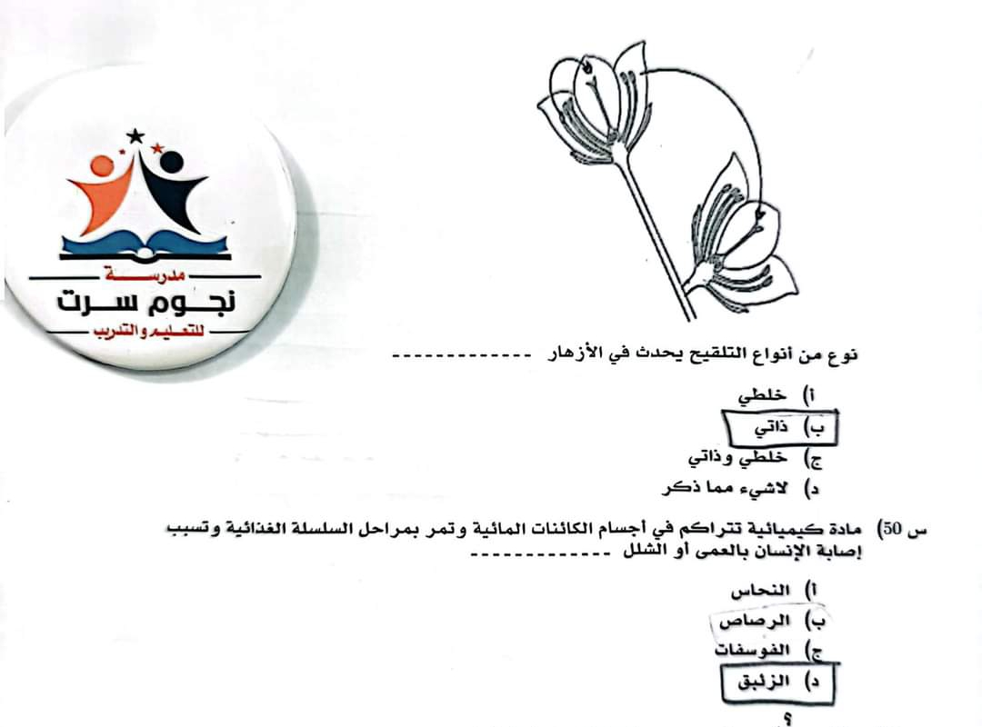 Screenshot ٢٠٢٥٠٧٠٦ ٠٠٤٩٠٩ Gallery