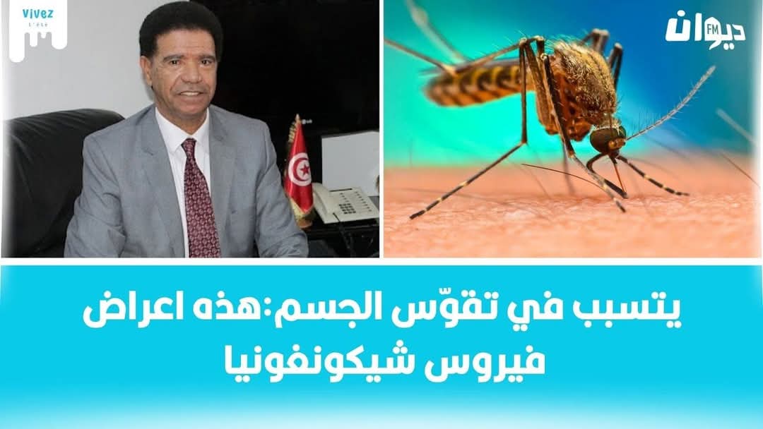 تفشي فيروس شيكونغونيا في الصين: أكبر موجة إصابات في تاريخ البلاد وتداعياتها الإقليمية
