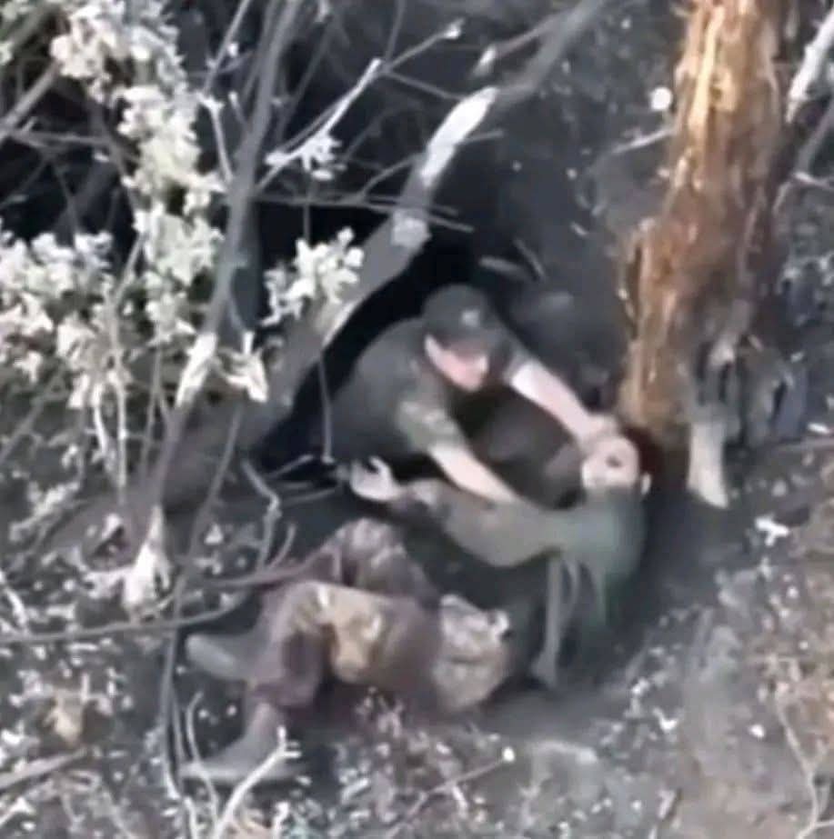 فيديو الجندي الذي يثير موجة غضب واسعة