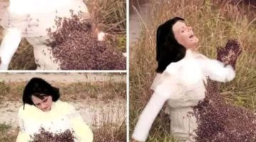 FB IMG 1765190285727