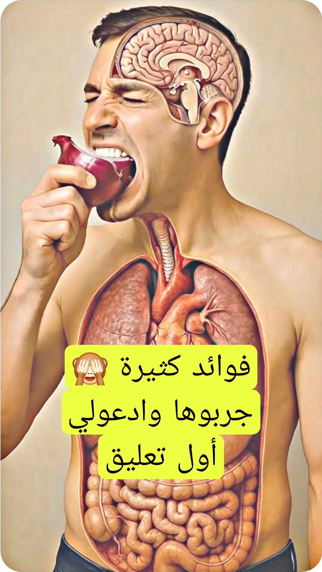 الفوائد الصحية للبصل – اعرفها كاملة