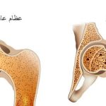 السر الطبيعي لتقوية الغضاريف وتخفيف آلام الركبة tbl_diseases_disease_33_117