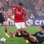 الاخبار اون لاين تنشر... موعد مباراة بنفيكا ضد الريال فى ذهاب ملحق دور الـ16 بدوري أبطال أوروبا 2026012912030030_381.jpg