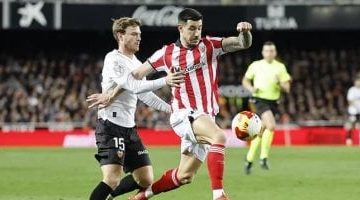 202602051244504450 381