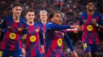 202602070715171517 381