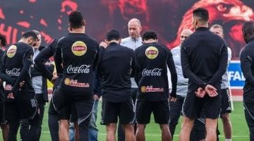 202602090736483648 394