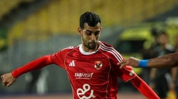 20260212030411411 394