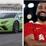 الاخبار اون لاين تنشر... محمد صلاح يحصد ثروة تكفى لشراء 100 سيارة لامبورجينى.. تفاصيل مثيرة 202602130212491249_369.jpg