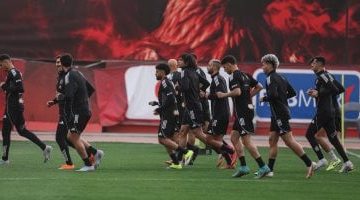 202602130733563356 300