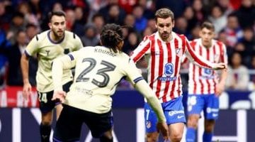 202602131235113511 381