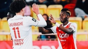 202602141215451545 381